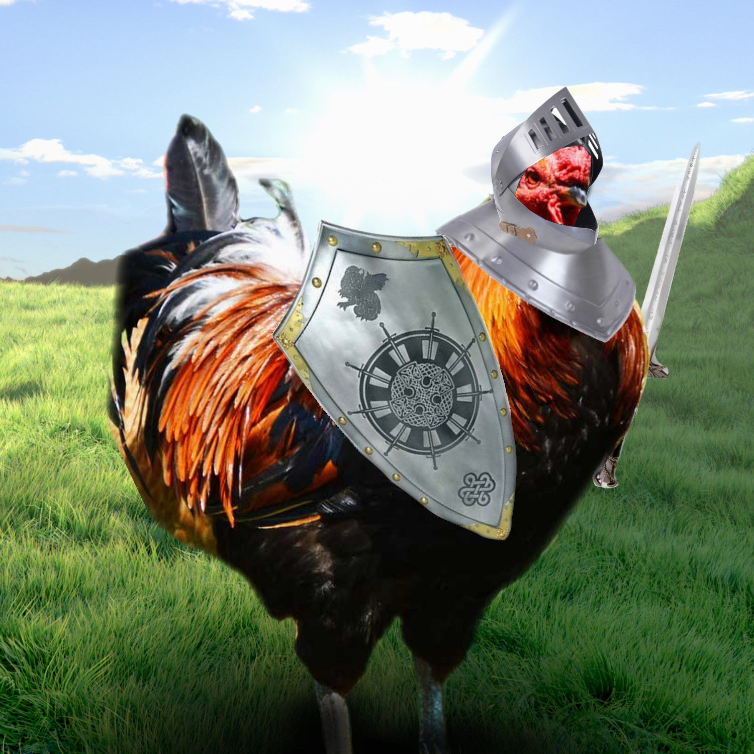 chickenwarrior